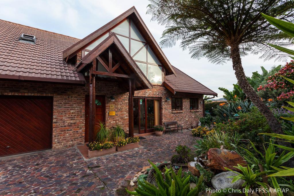 Paradise Found Knysna Exterior foto