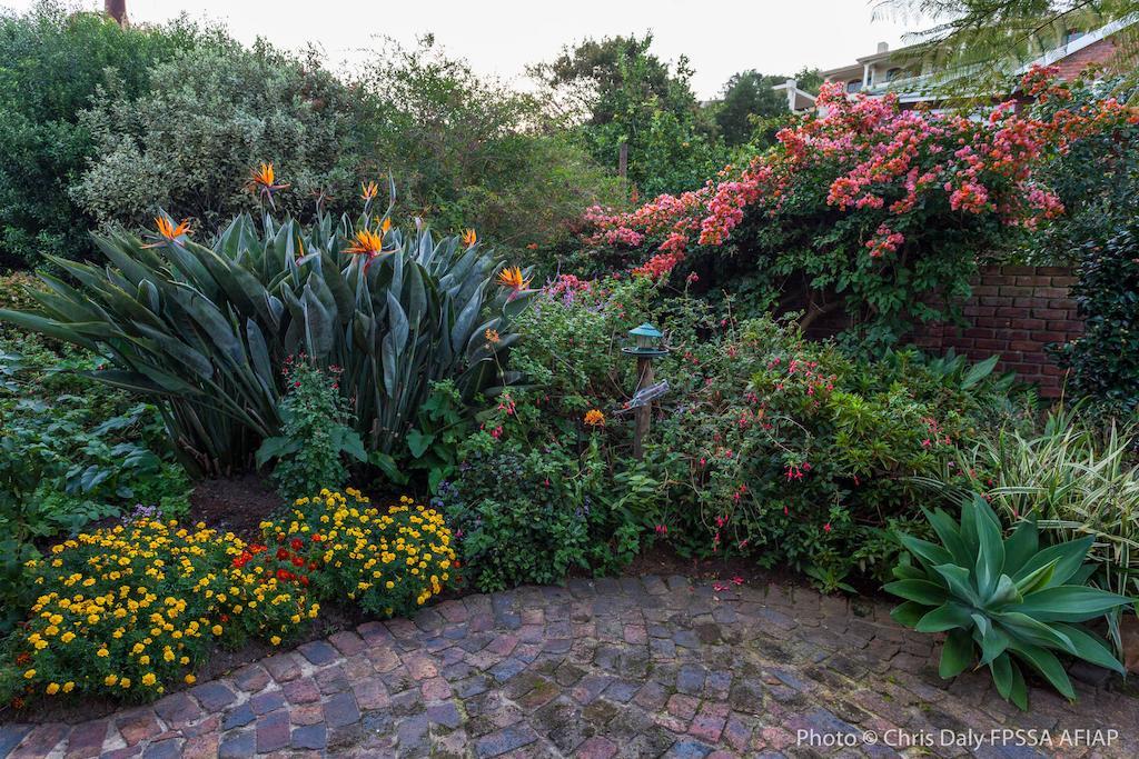 Paradise Found Knysna Exterior foto