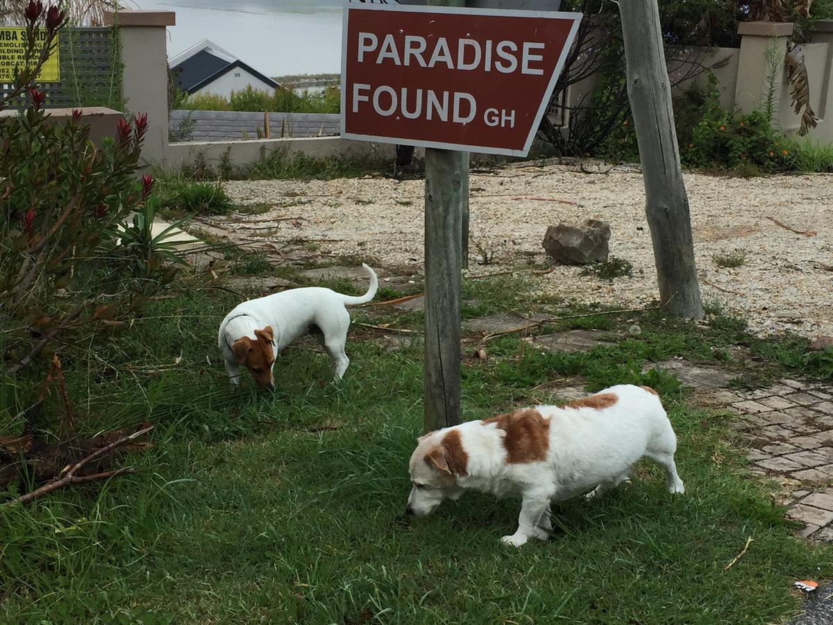 Paradise Found Knysna Exterior foto