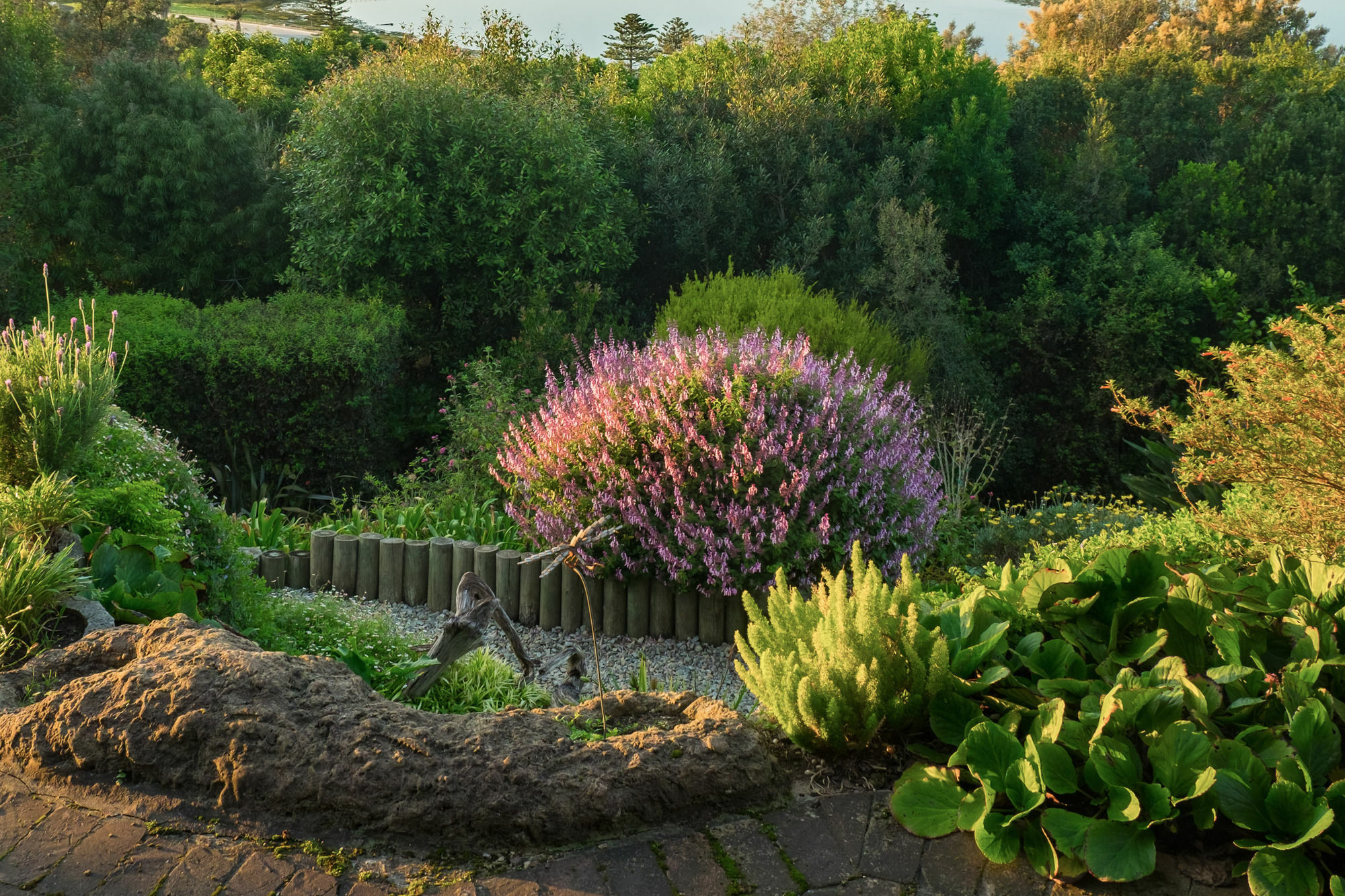 Paradise Found Knysna Exterior foto